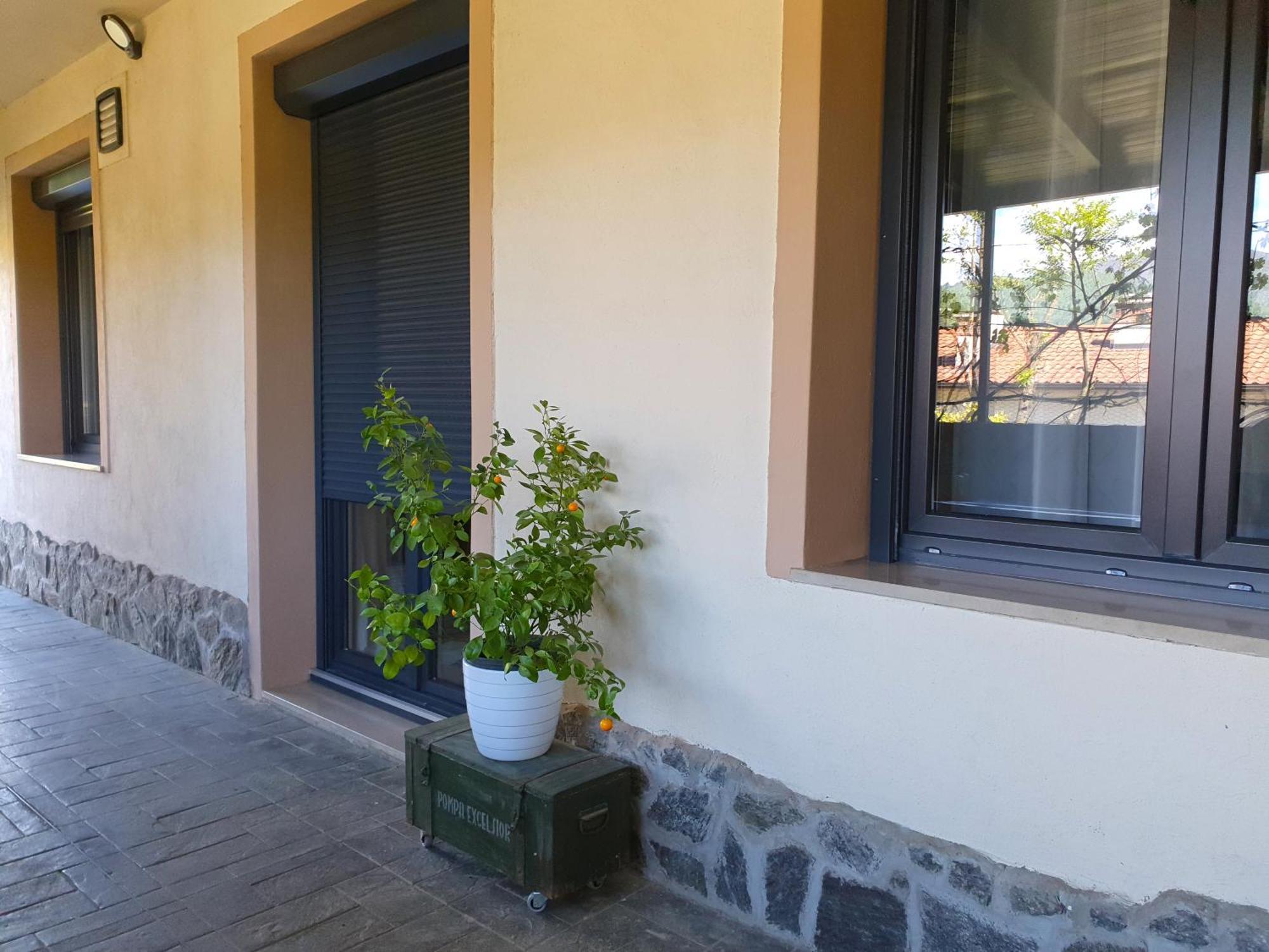 Apartment With Terrace Nona Pavla 톨민 외부 사진